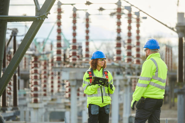 Best Affordable Electrician  in Wyoming, IL