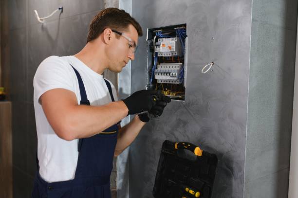 Best Electrical Repair Services  in Wyoming, IL