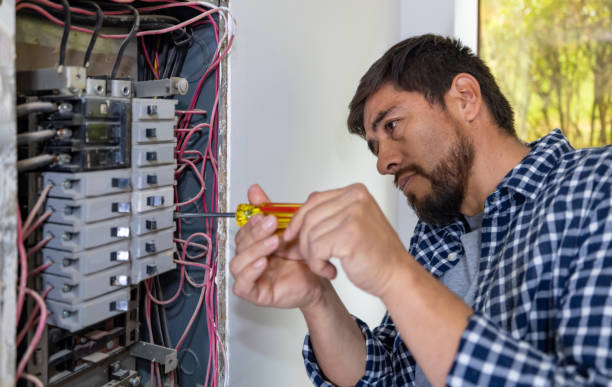 Best Electrical Upgrades for Homes  in Wyoming, IL